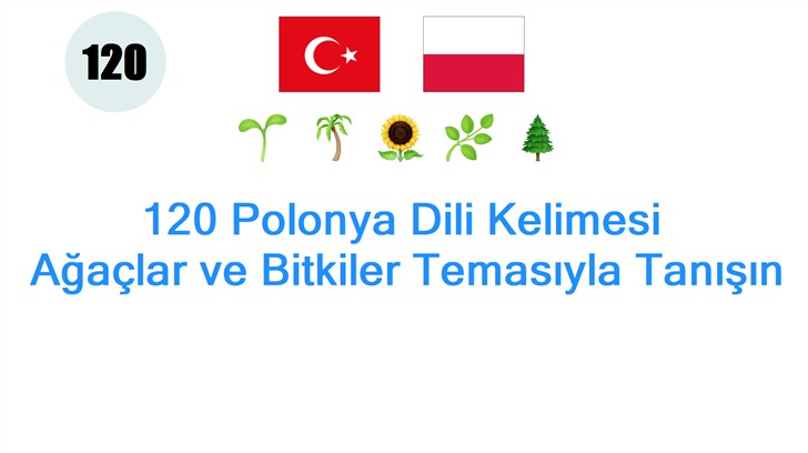 120 Polonya Dili Kelimesi: Ağaçlar ve Bitkiler Temasıyla Tanışın